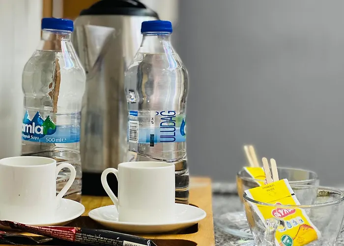 מלון Uyu אושאק